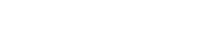 Wettori